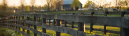Wooden fence